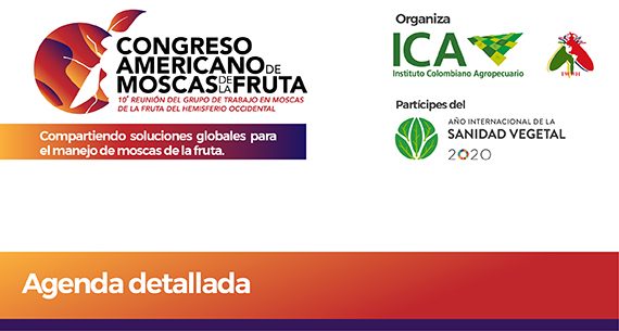 Agenda detallada