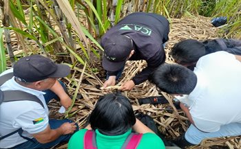 Productores de los municipios de Piamonte y Santa Rosa