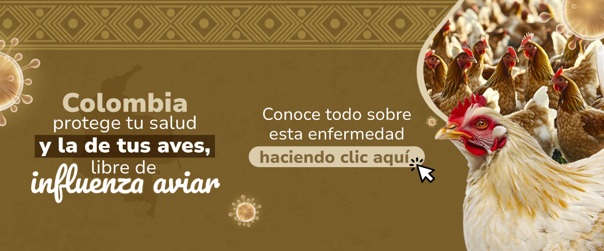 Más información aquí: 