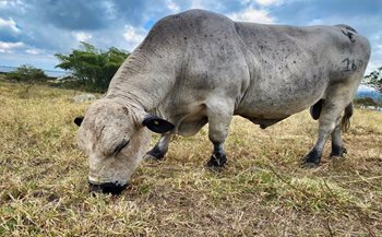 ¡En la recta final! II Ciclo de Vacunación Supera el 79% de la cobertura