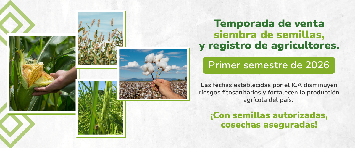 Más información aquí: 