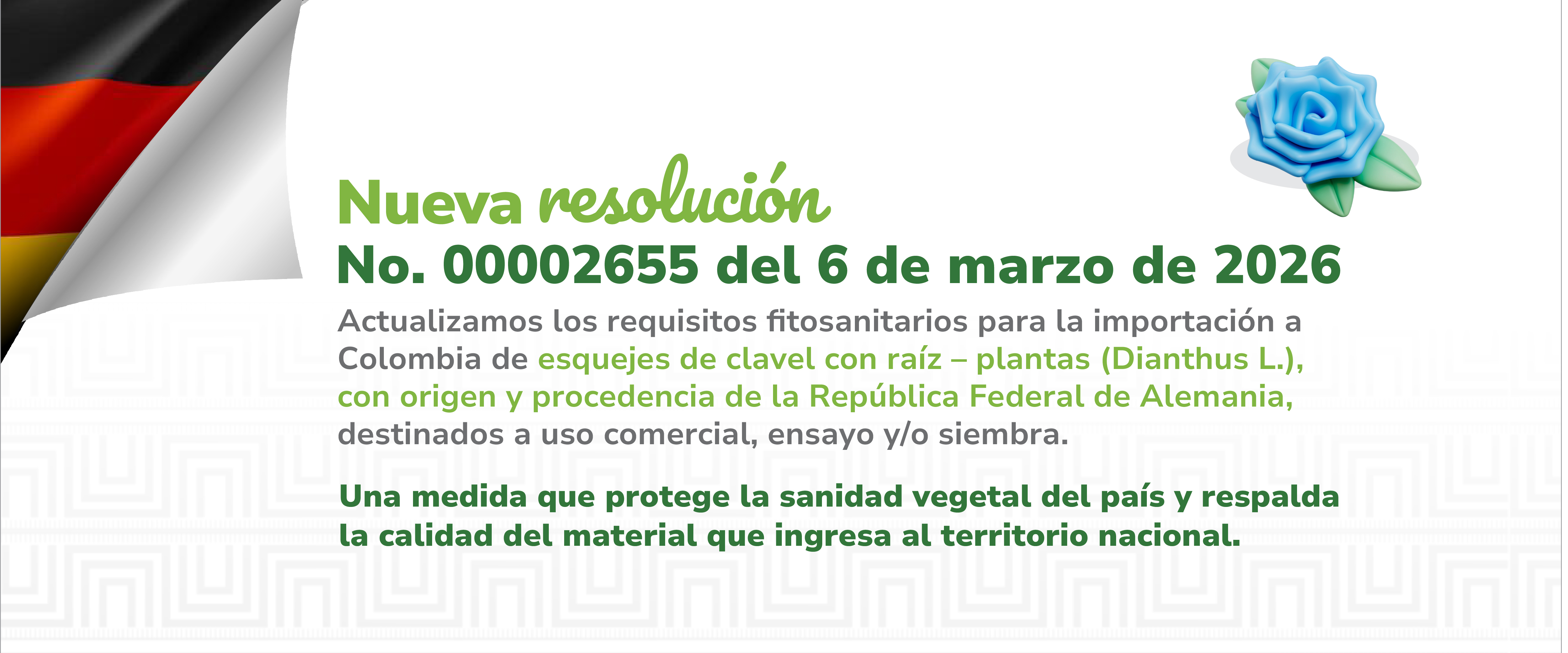 Conoce aquí la resolución 00002655