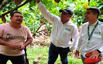 Productores de cacao, maracuyá y plátano.