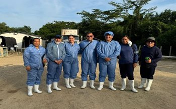 Actividades en campo. 