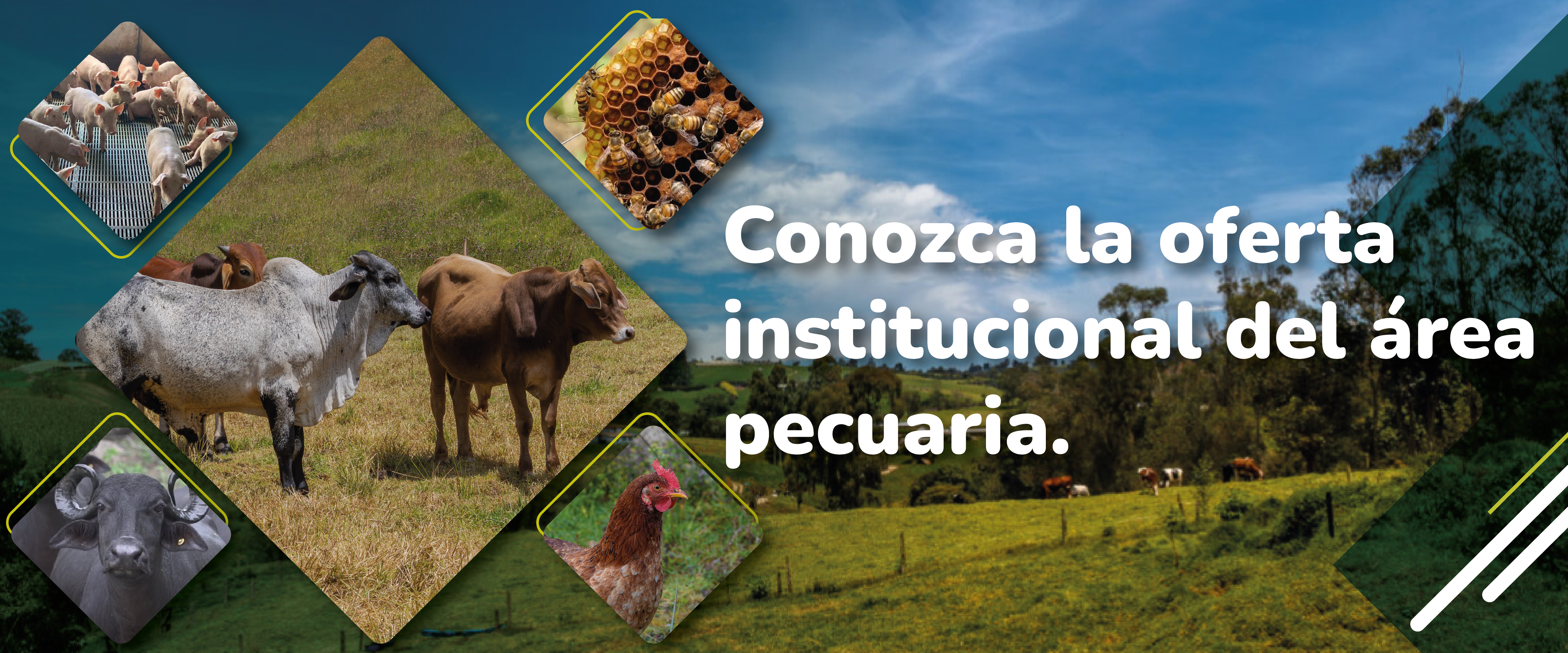 Consulta aquí el cronograma del 2026
