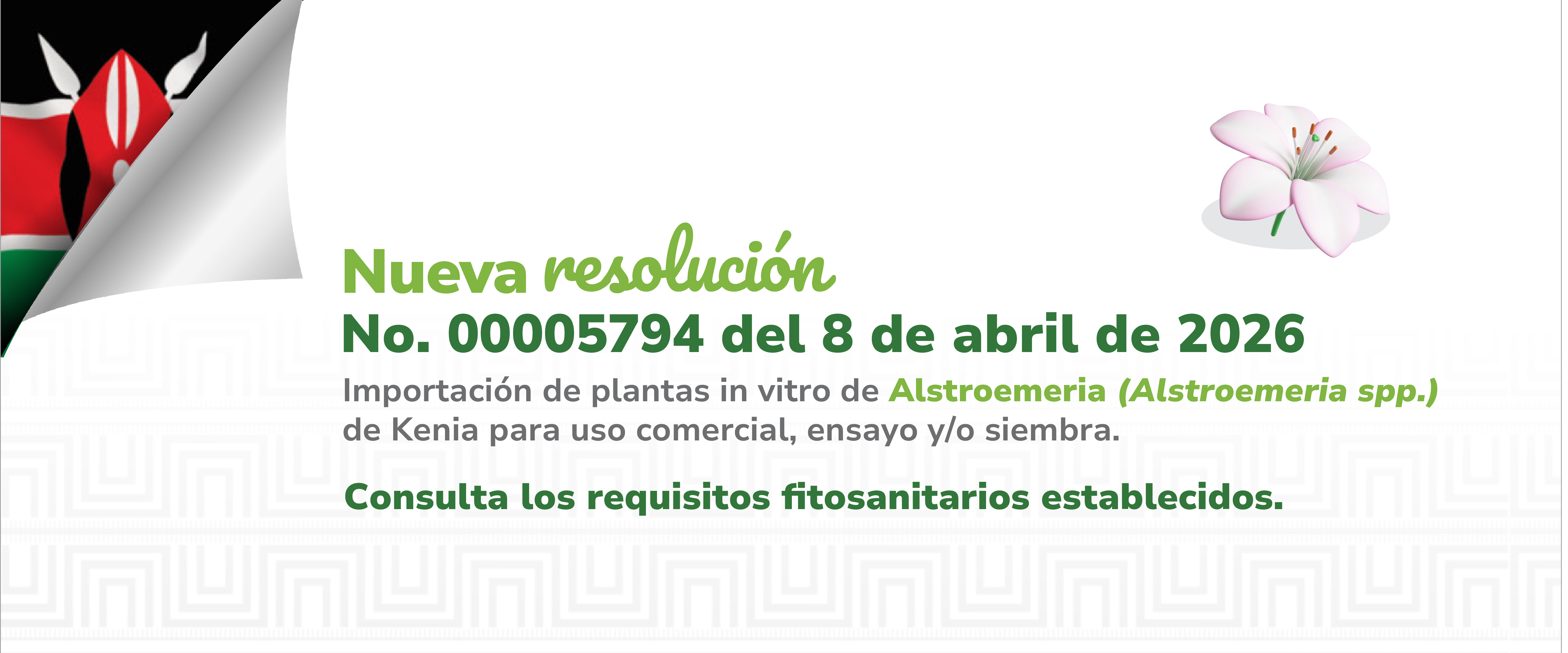 Conoce la resolución 00005794 aquí