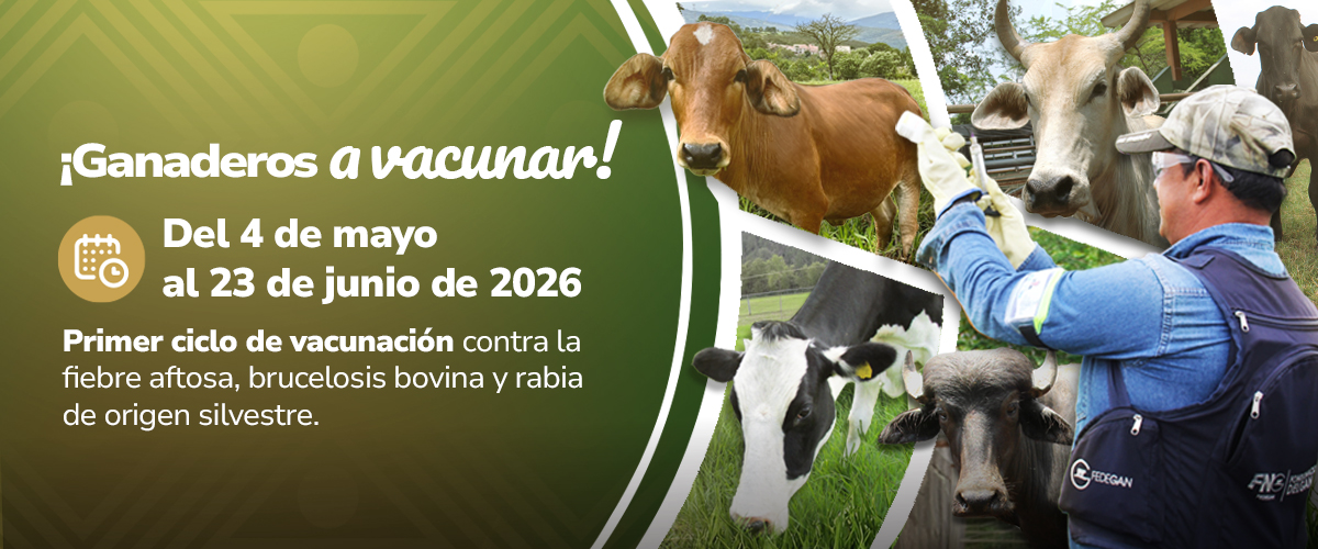 Amplia la información aquí: 