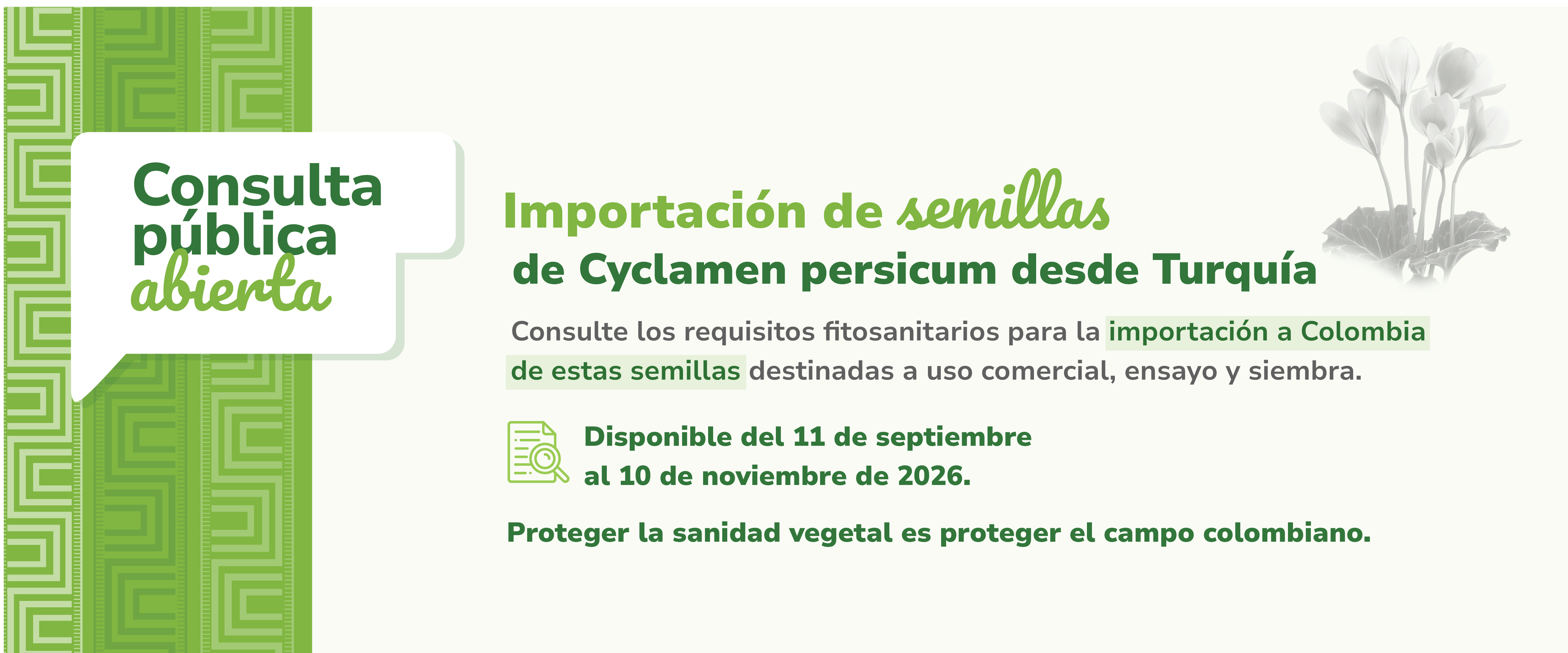 Participa aquí: 