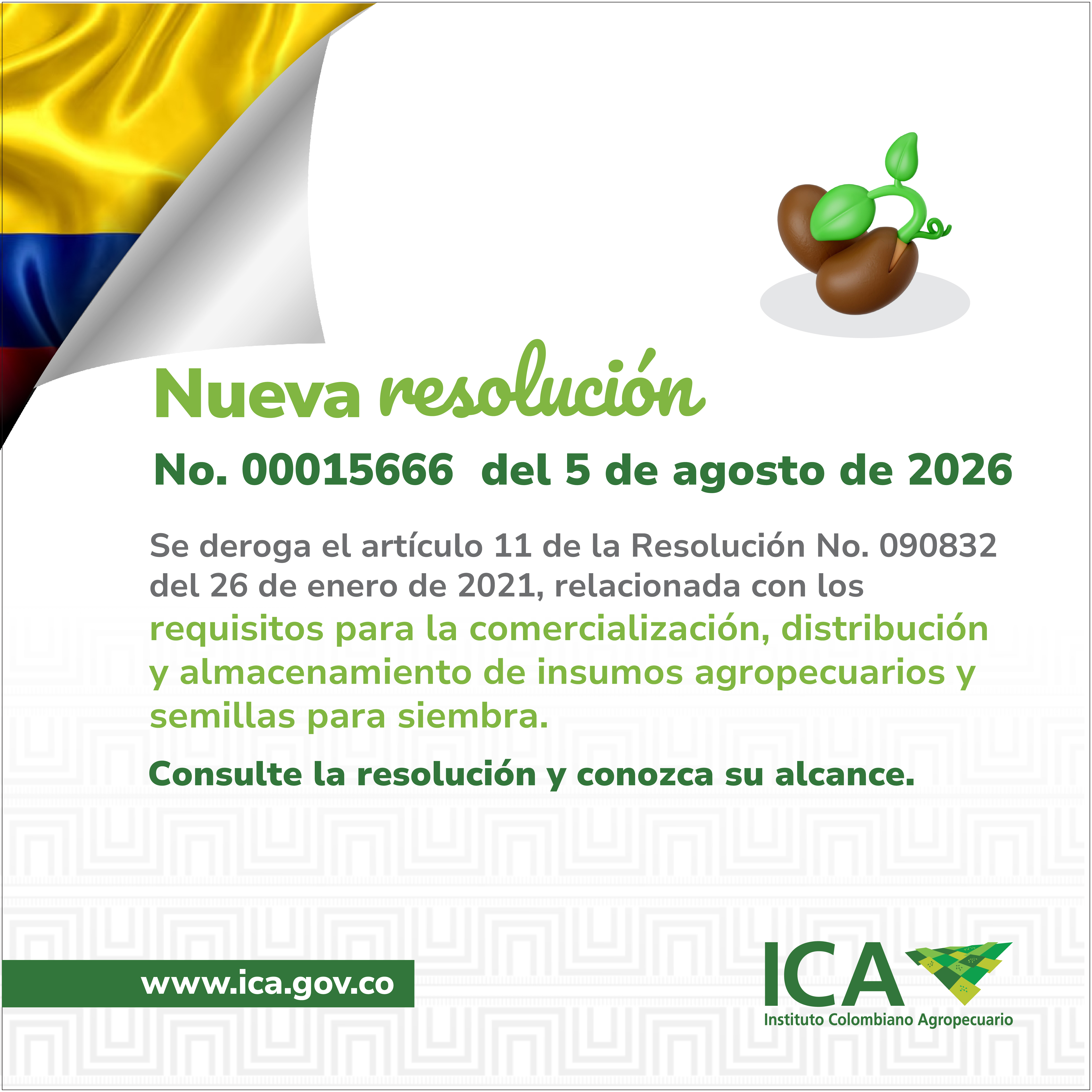 Consulta aquí la resolución 00015666
