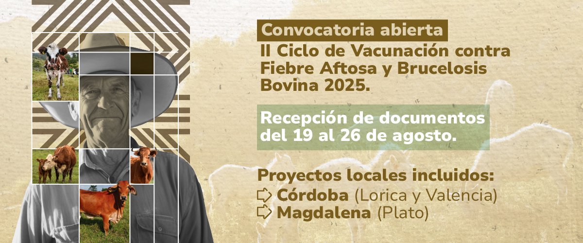 Consulta aquí: 