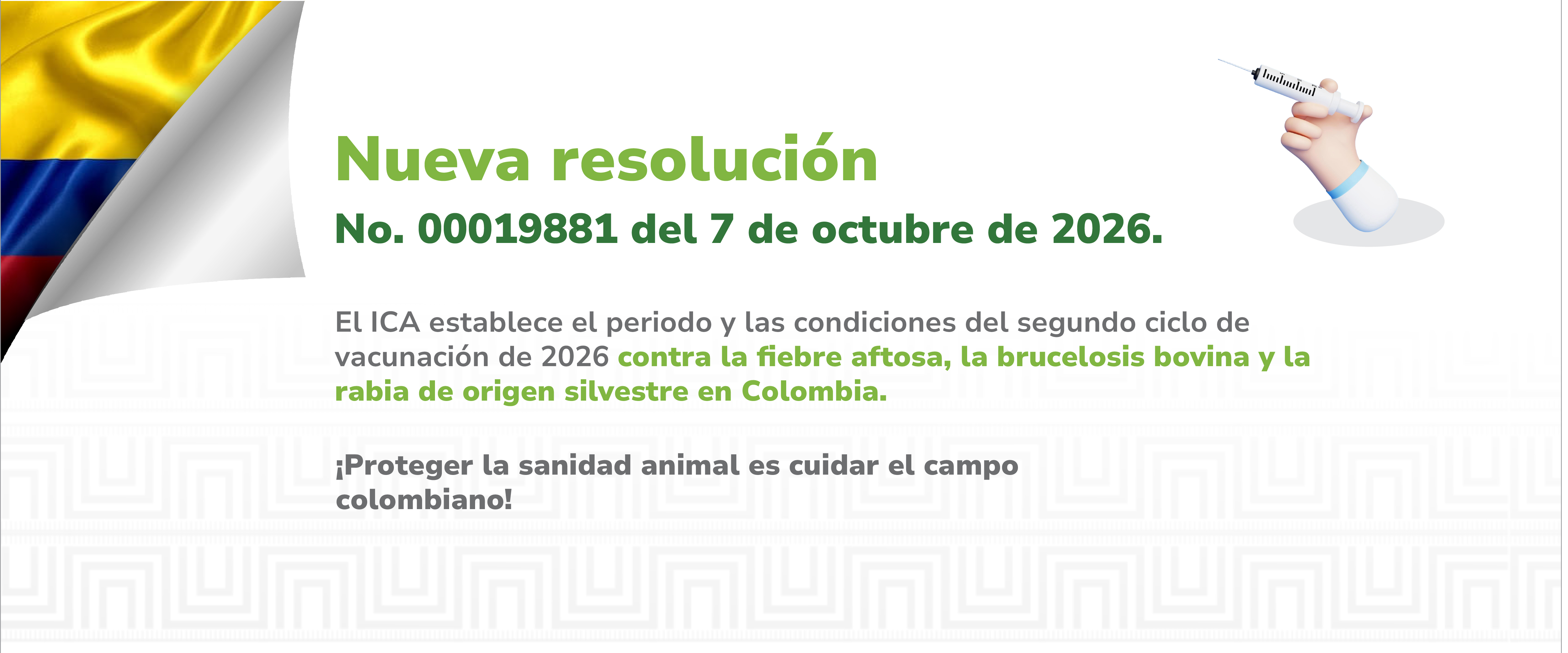Consulta aquí la resolución 00019881