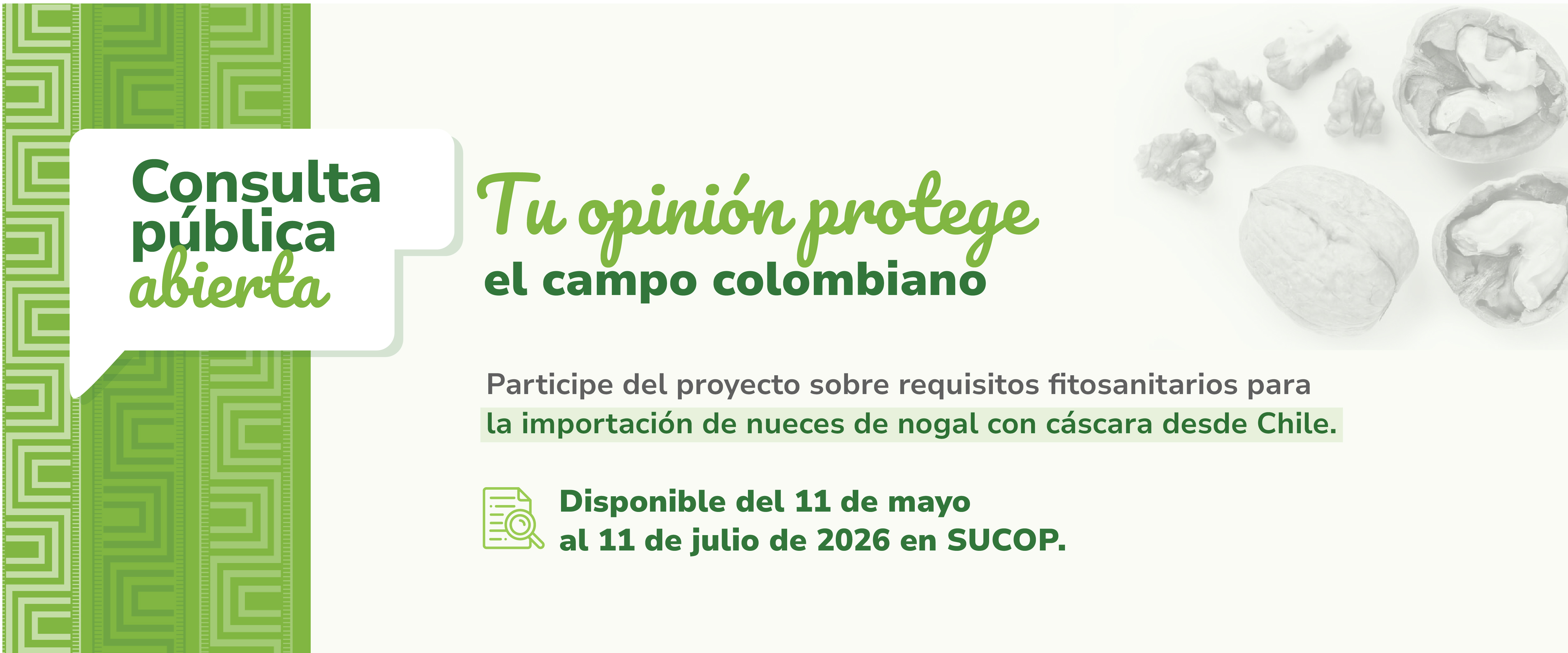 Participa en el proyecto sanitario sobre requisitos fitosanitarios para la importación de nueces de nogal con cáscara desde Chile