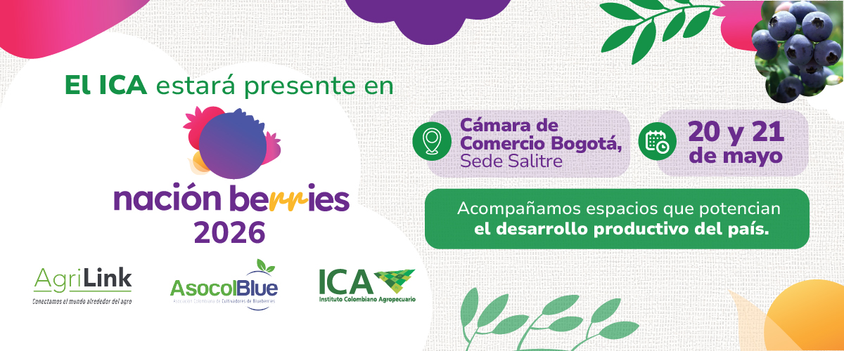 Aquí te contamos más sobre el ICA en Nación Berries