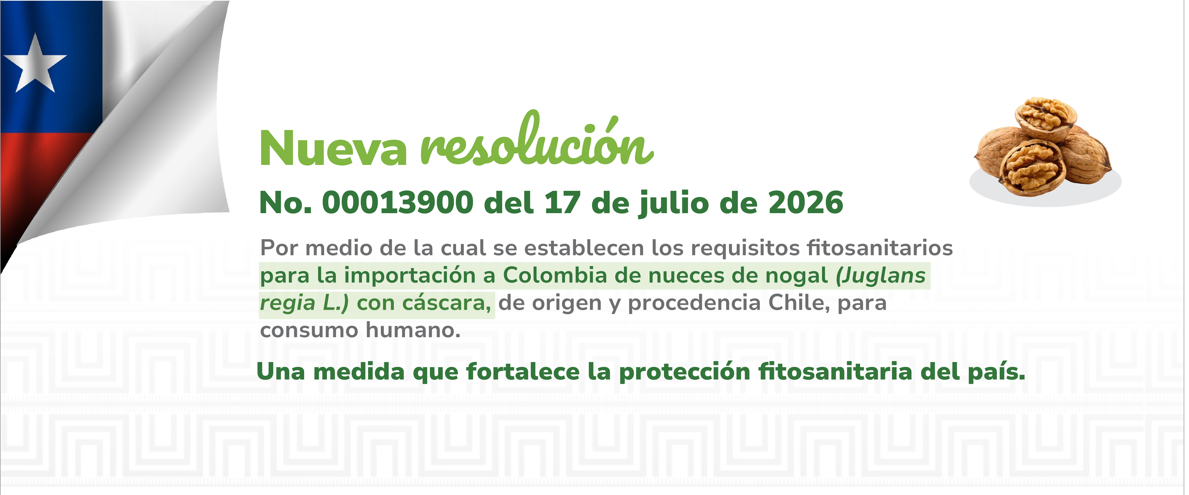  Conoce las acciones que impulsan una agricultura segura y un campo con más oportunidades para todos
