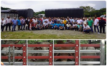 ¡Atención Transportadores de Animales!