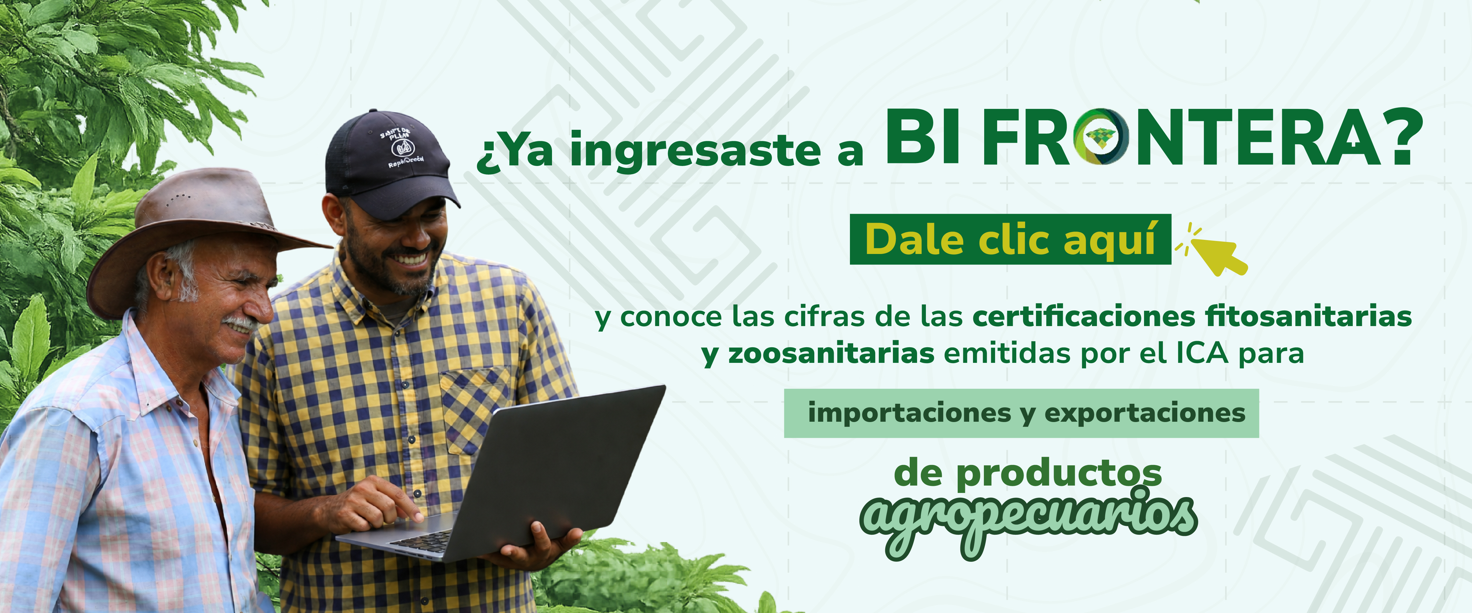 Ingresa al aplicativo BI Frontera