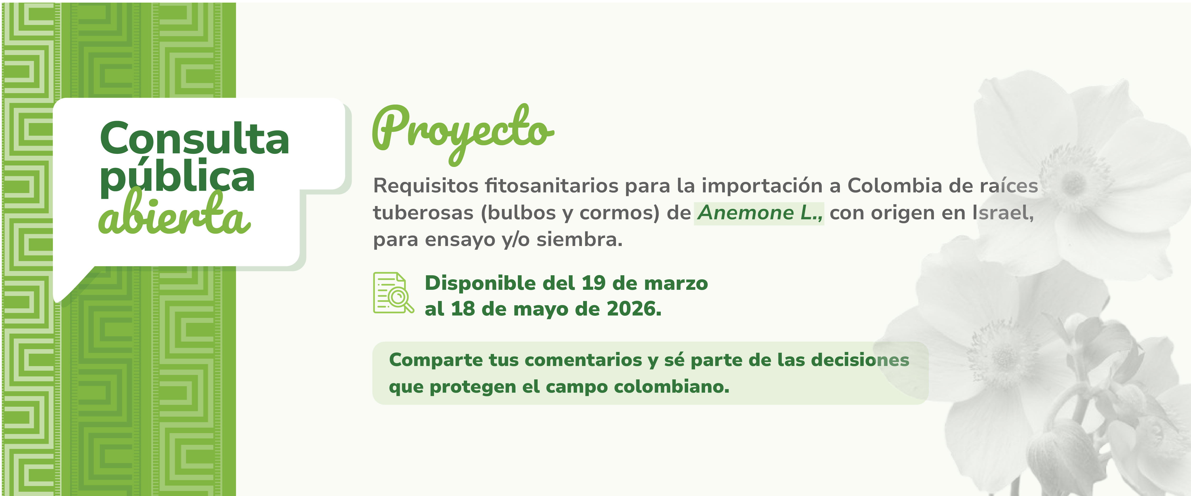 Participa en la consulta pública y aporta a la construcción de medidas que protegen la sanidad vegetal del país