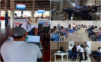 Participantes en las jornadas.