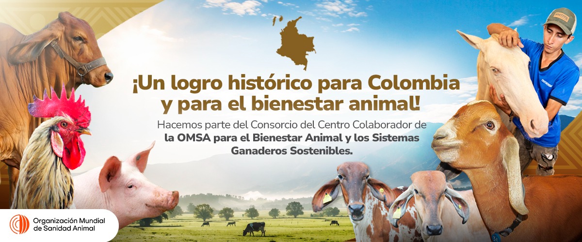Conoce aquí los detalles de este logro histórico 