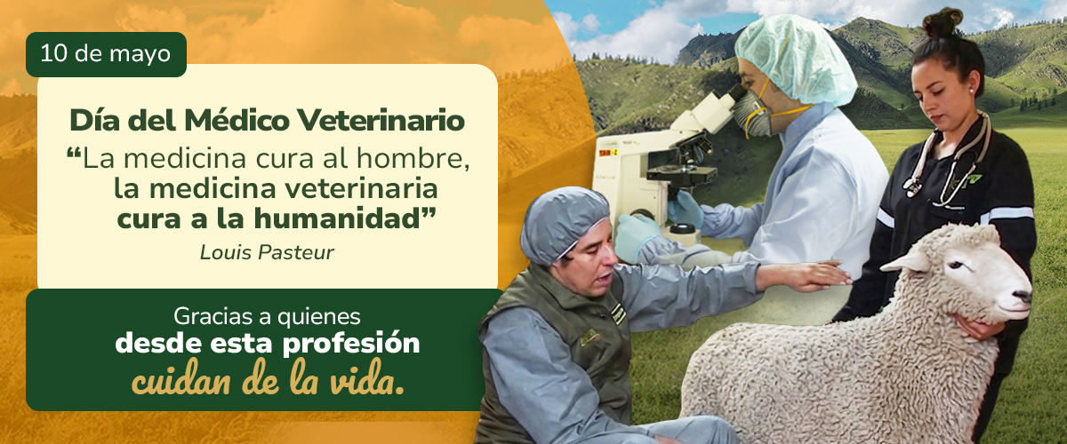 ¡Feliz día! 