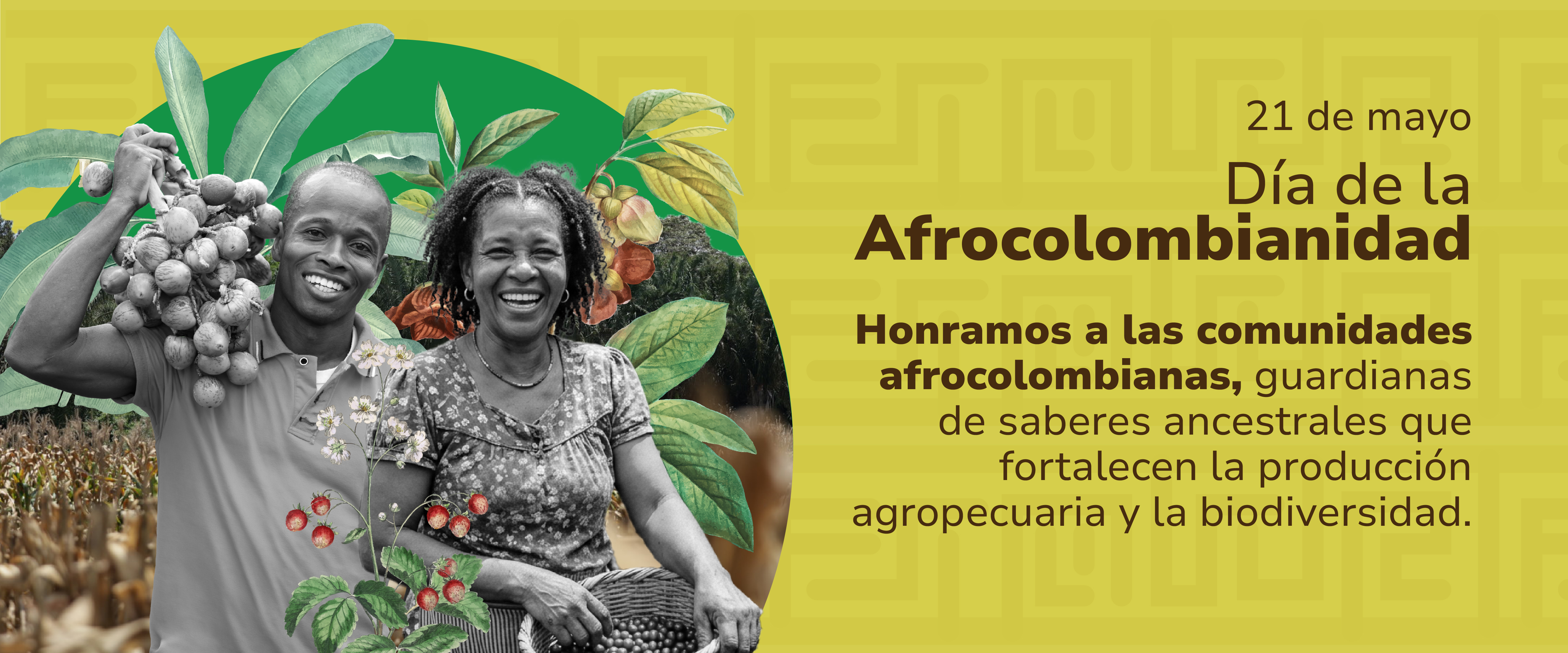 Día de la afrocolombianidad