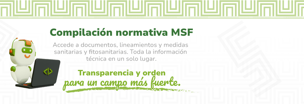 Conoce aquí los enlaces de interés y la oferta institucional del MSF