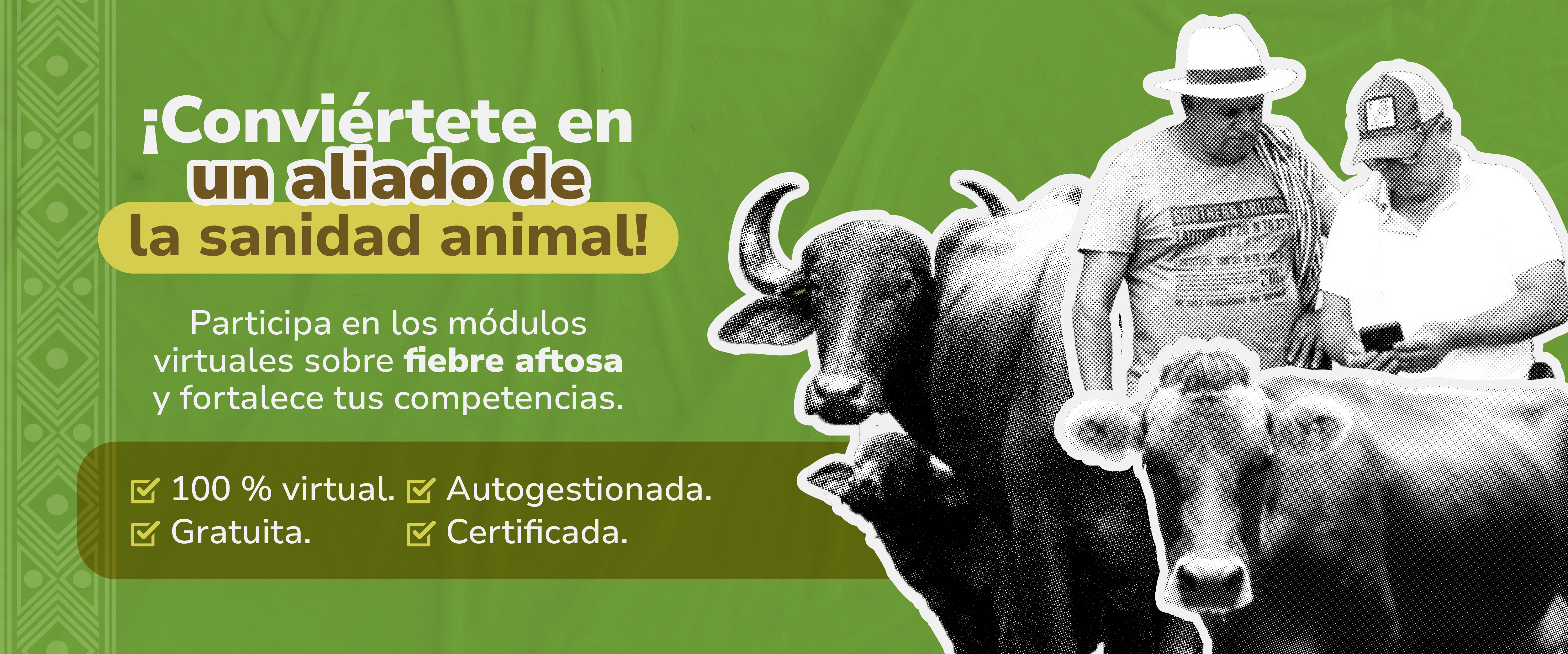 Inscríbete gratis y fortalece tus competencias sobre fiebre aftosa