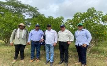 Participantes en la jornada. 