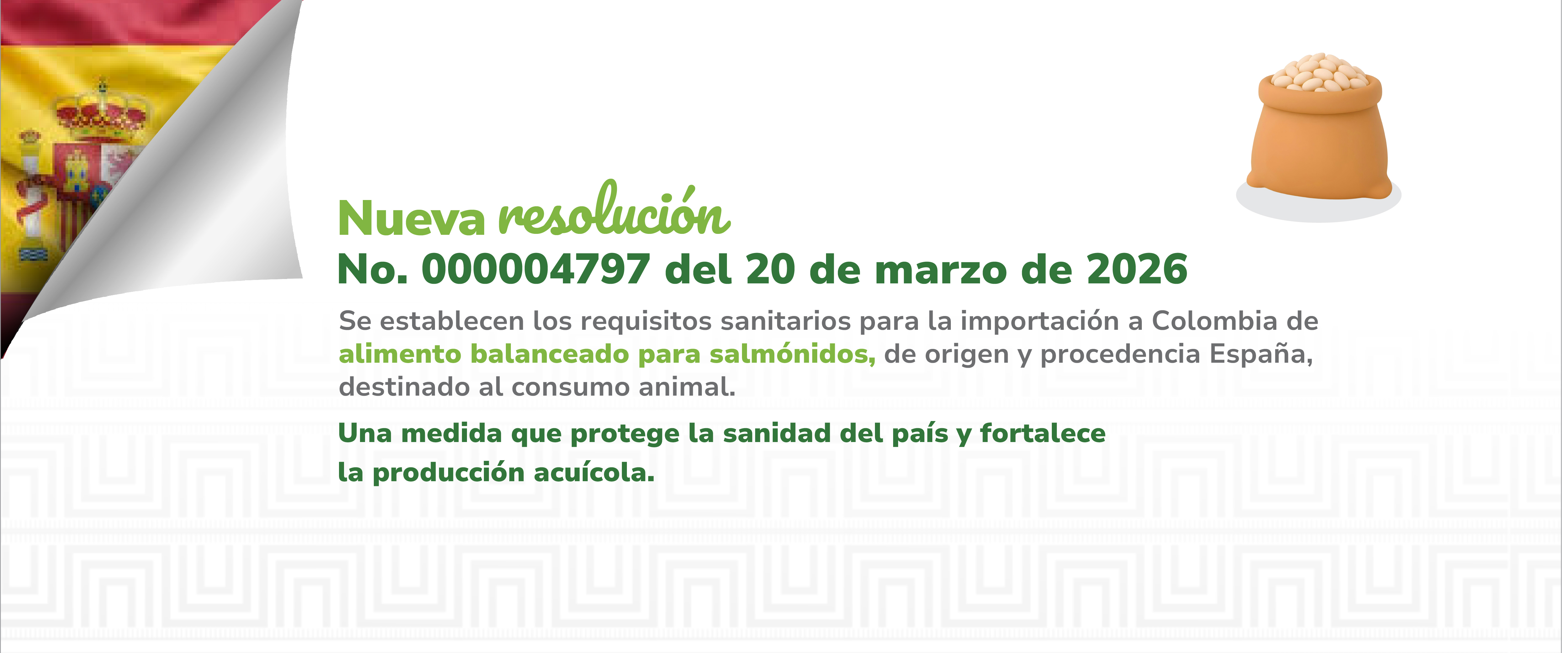Consulta aquí la resolución 000004797