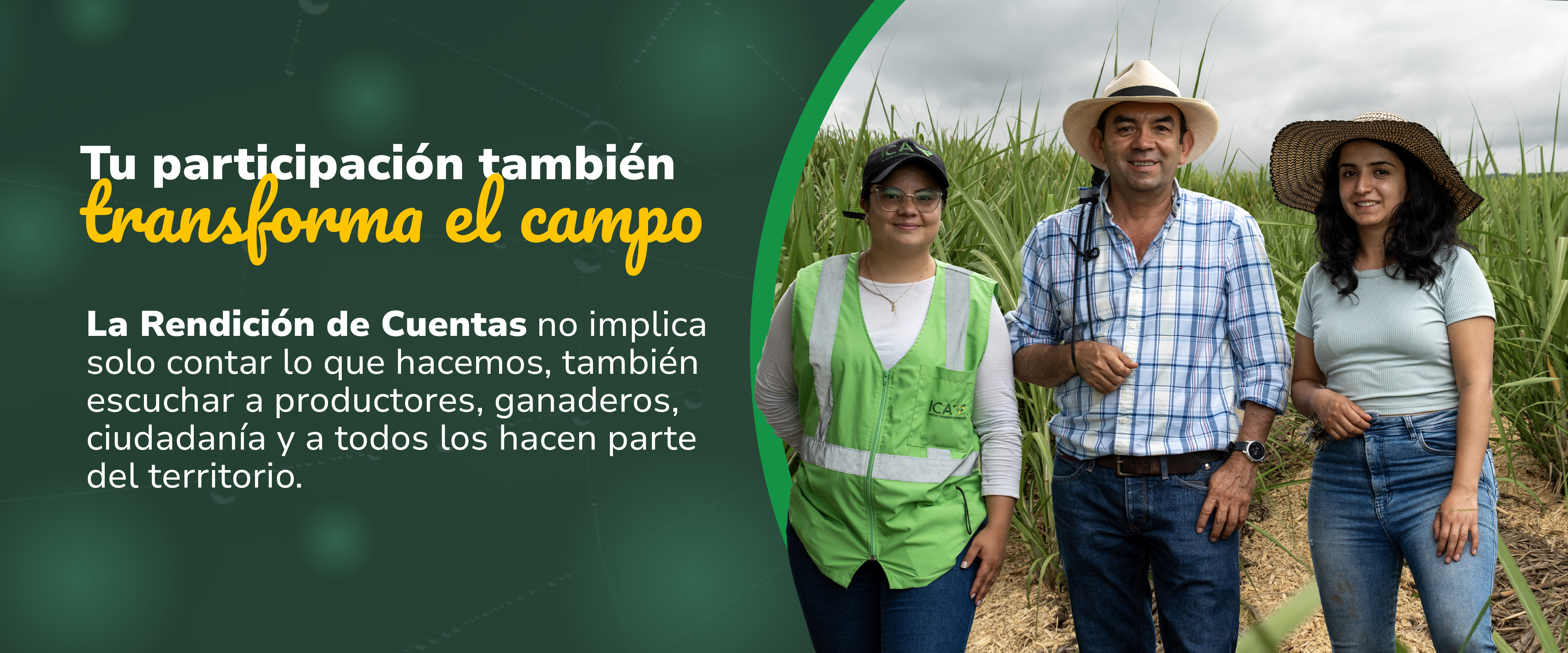 Rendición de Cuentas, vigencia 2025: consulta temas de interés 