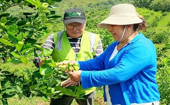 Participantes en la jornada.