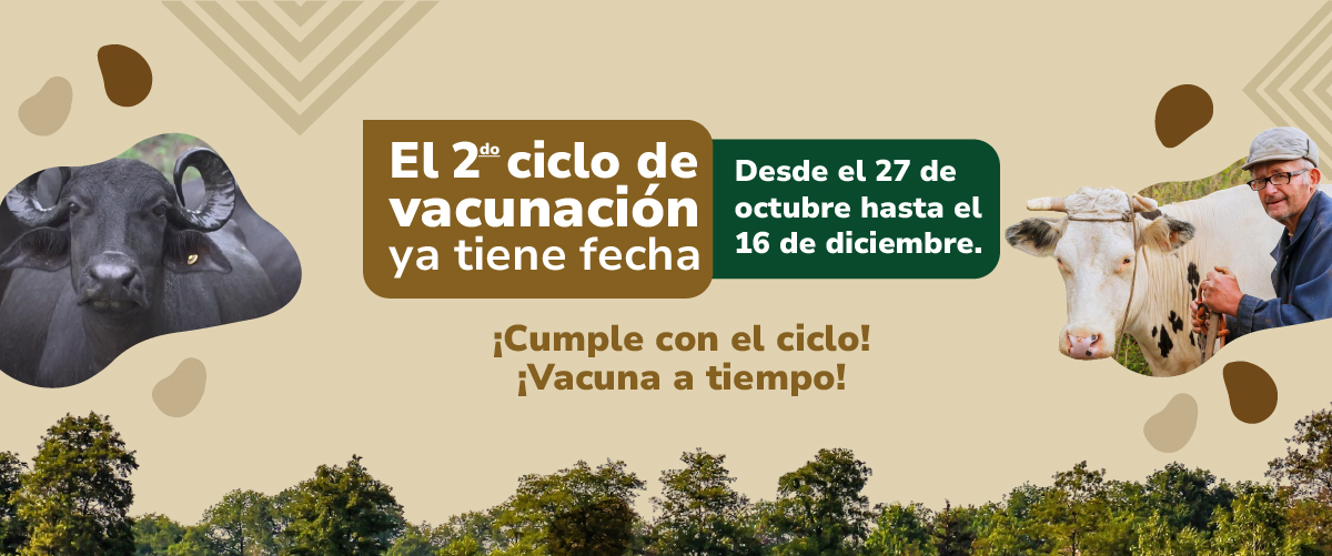 Más información aquí: 