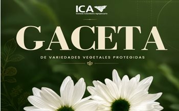 Gaceta variedades vegetales protegidas - semestre 1 – 2026. 