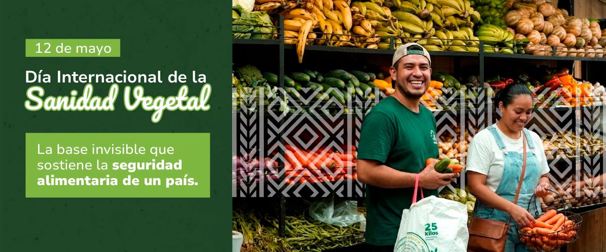 12 mayo - Día de la Sanidad Vegetal