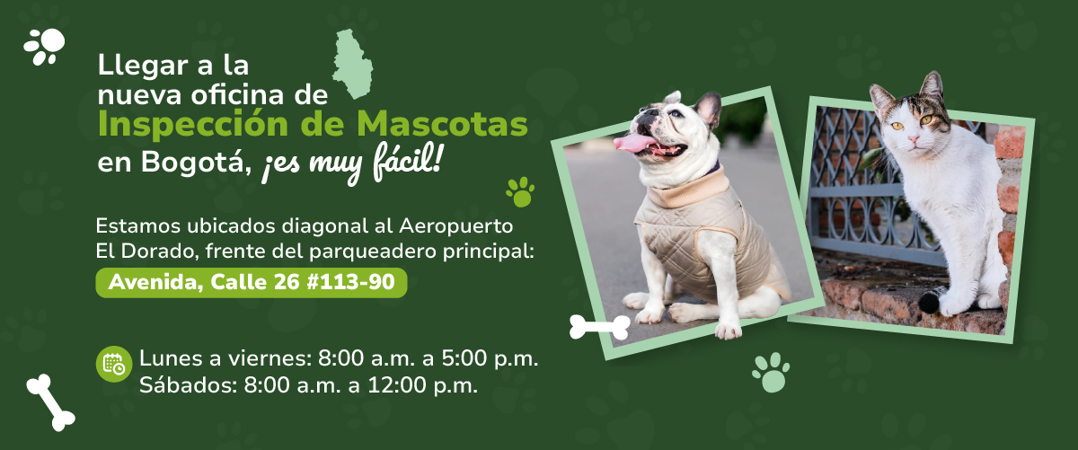 ¡Te esperamos! 