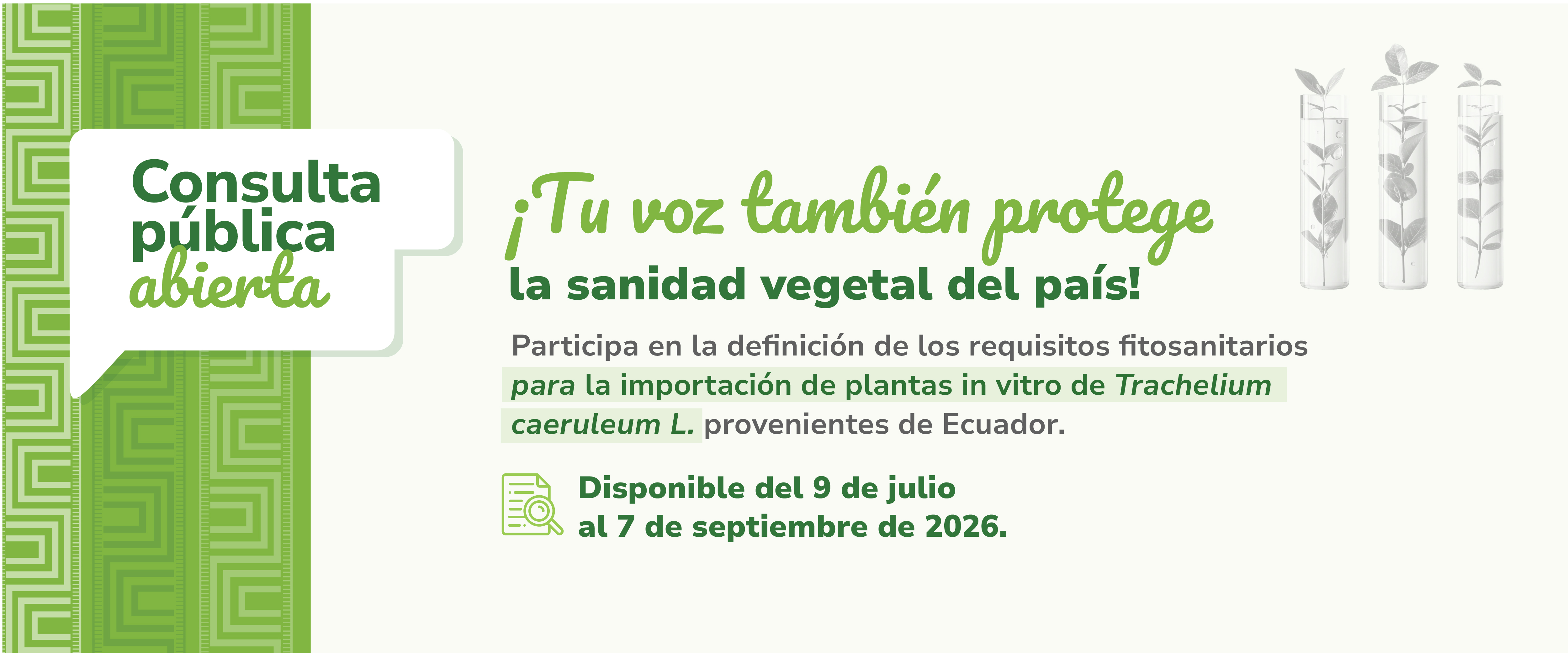 Participa aquí en la consulta 
