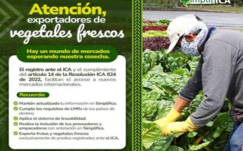 ICA facilita la exportación de vegetales frescos. 