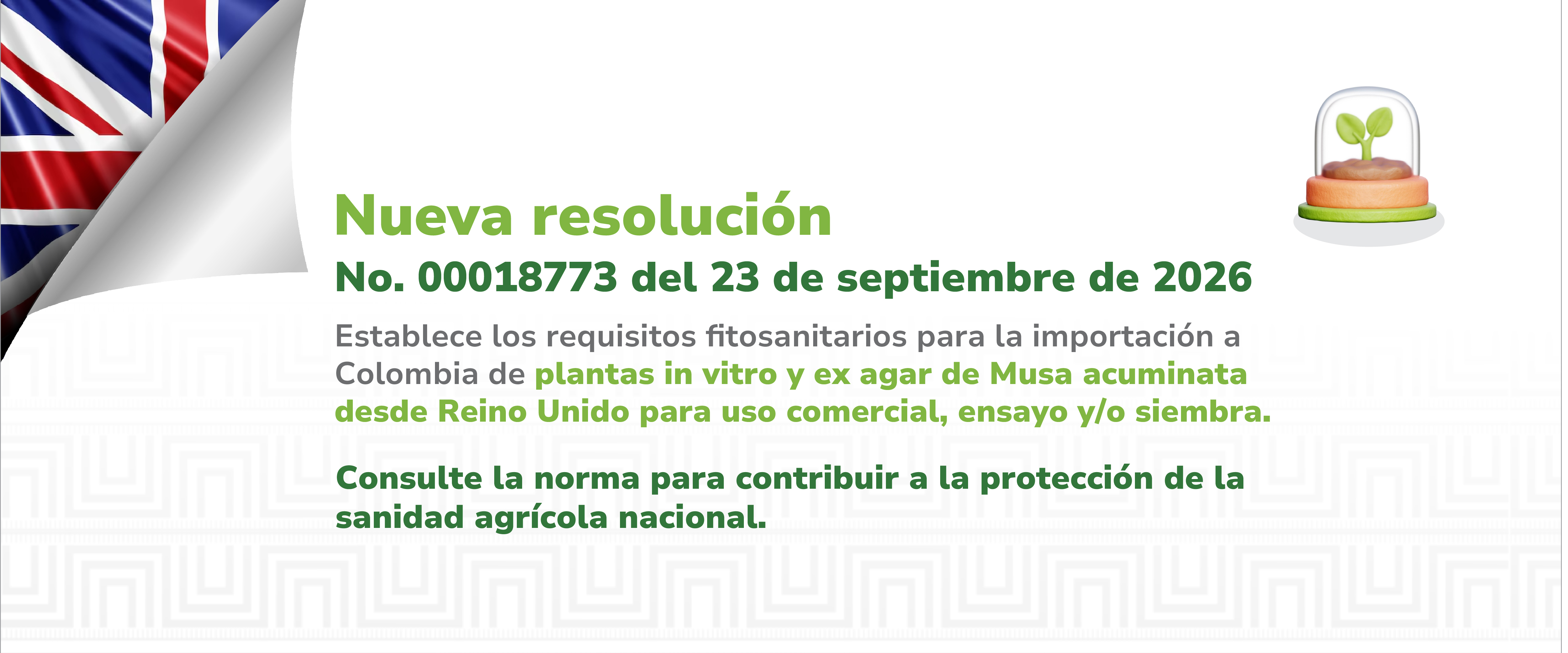 Consulta aquí la resolución 00018773