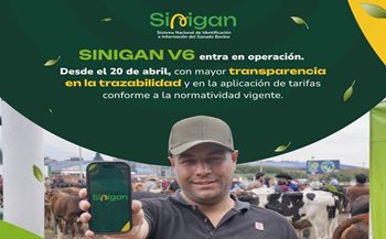SINIGAN V6.