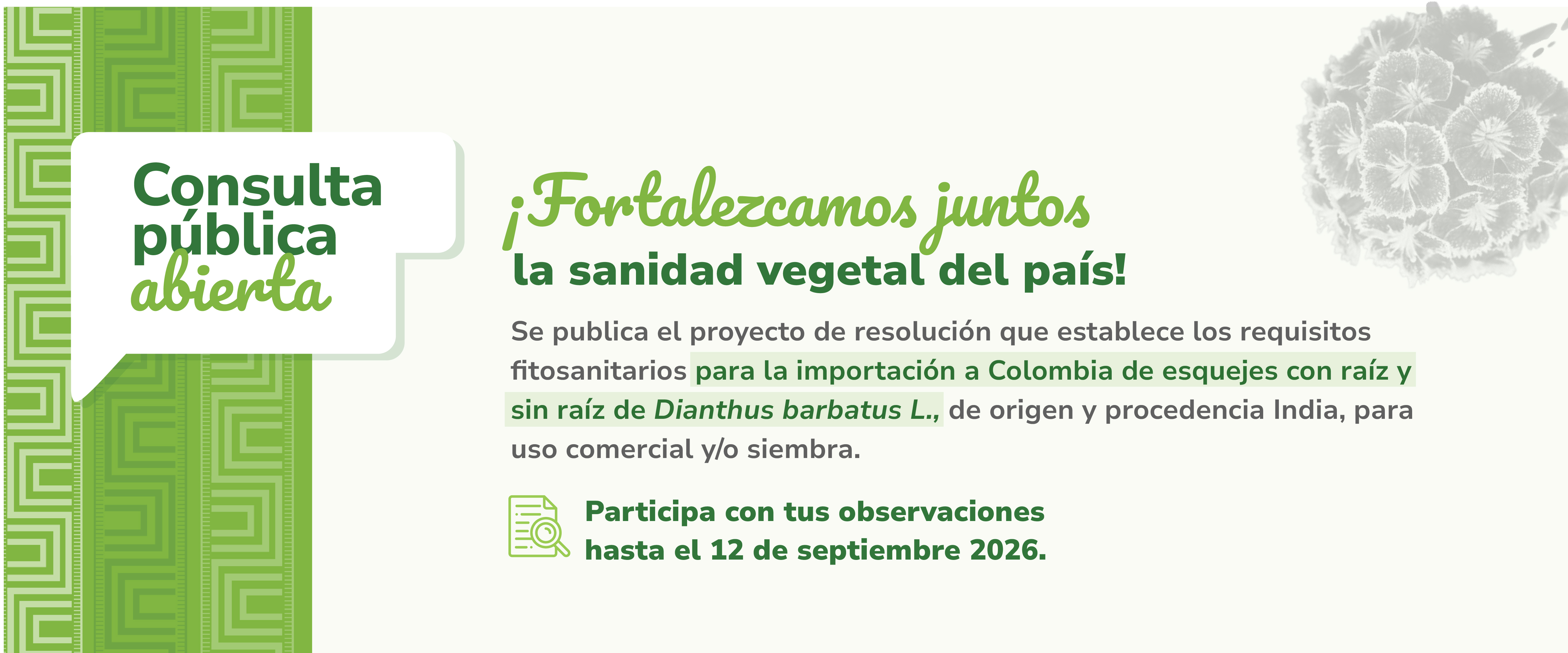Participa aquí: 