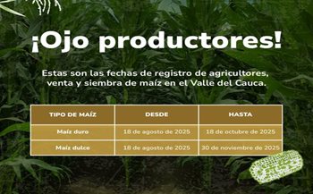 Fechas de siembra Valle del Cauca. 