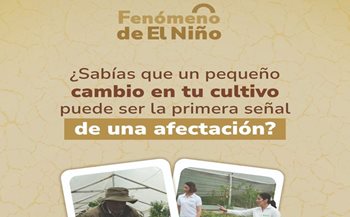 El campo nos habla, escuchémoslo.