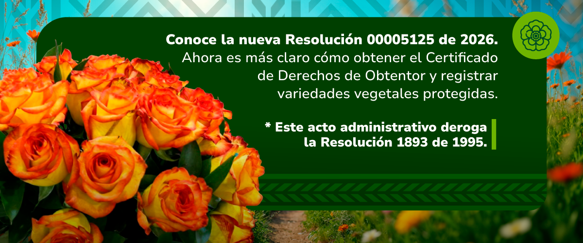 Conoce aquí la resolución 00005125