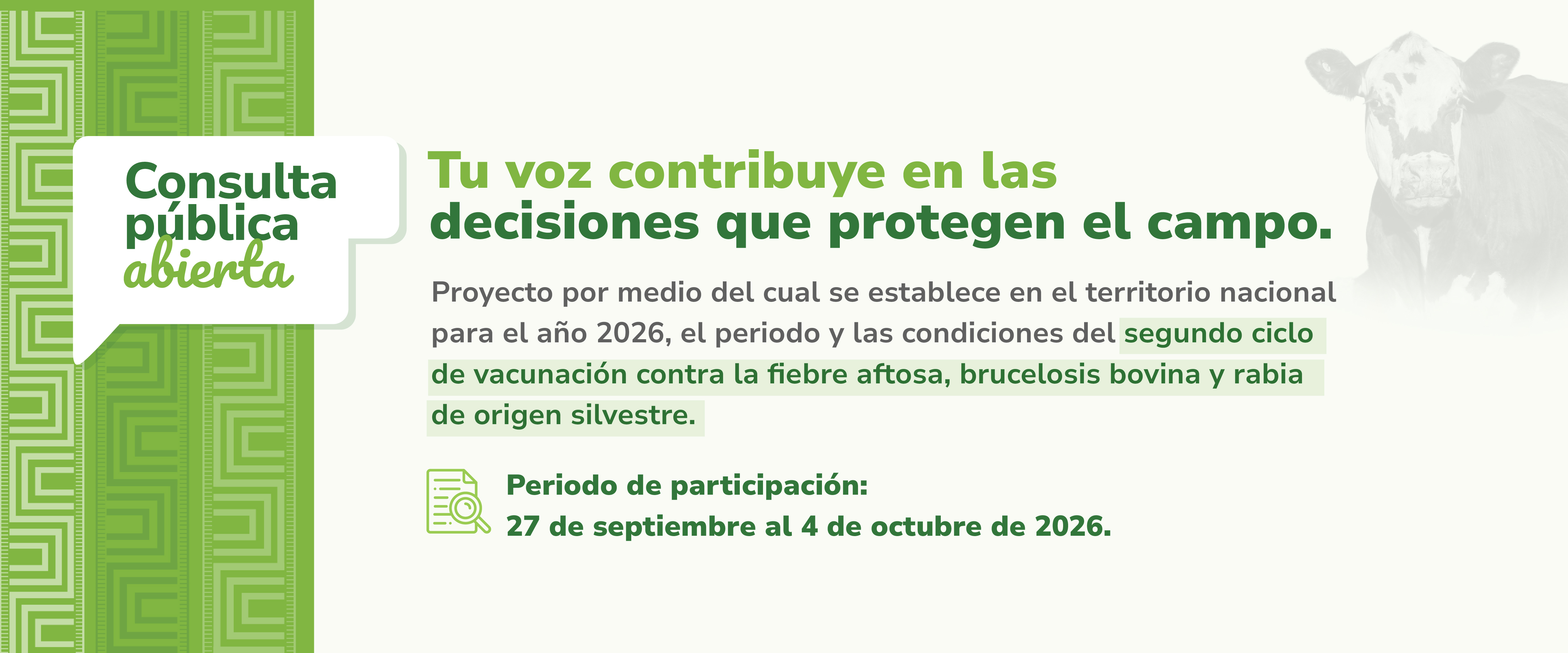 Consulta aquí en la consulta sobre el segundo ciclo de vacunación contra la fiebre aftosa, brucelosis bovina y rabia de origen silvestre