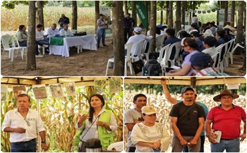 Participantes en la jornada.