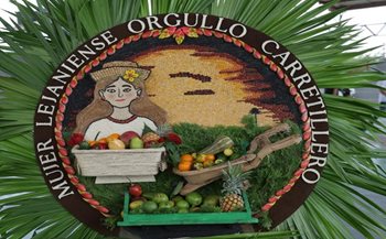 Carretillas frutícolas Lejanías, Meta.  