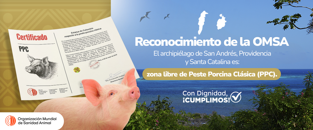 Conoce aquí este hito para nuestro país
