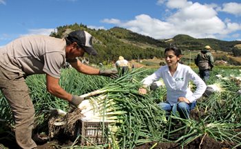 Participantes en el reconocimiento a los campesinos
