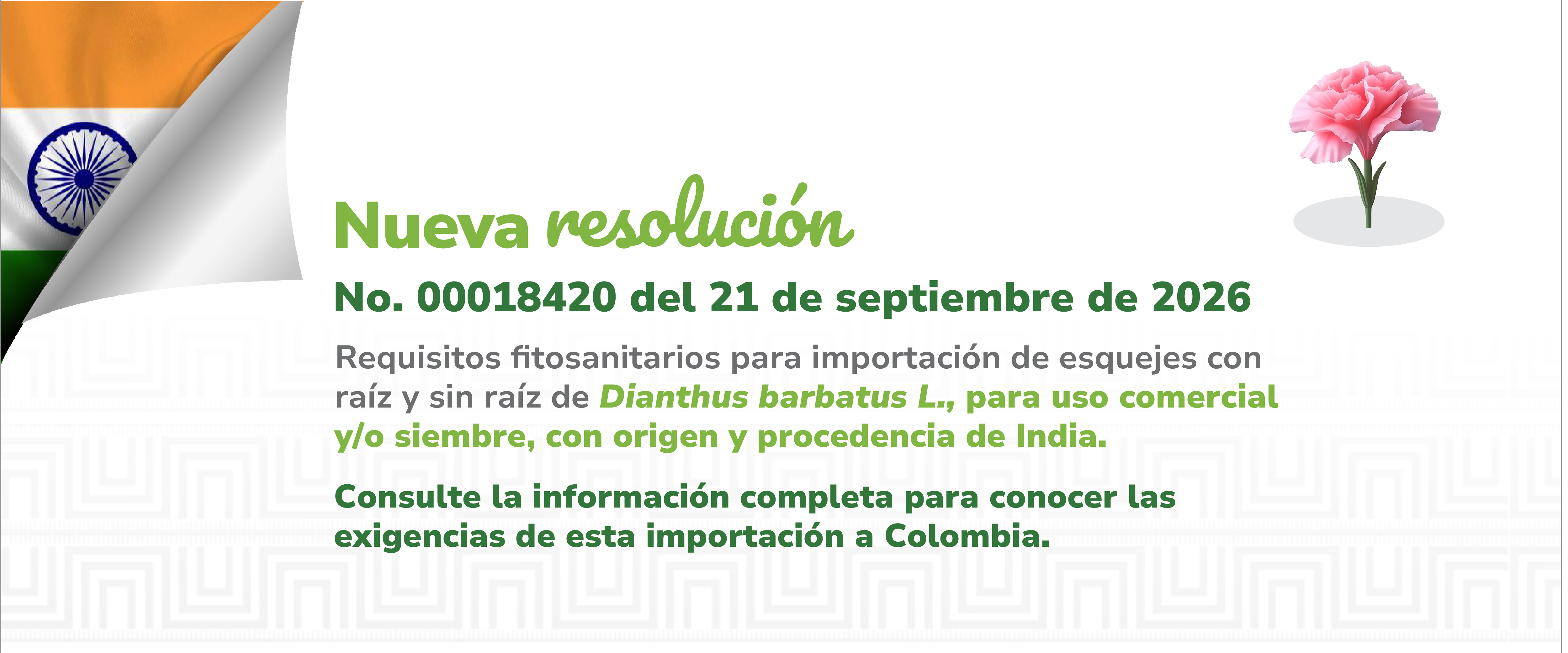 Consulta aquí la resolución