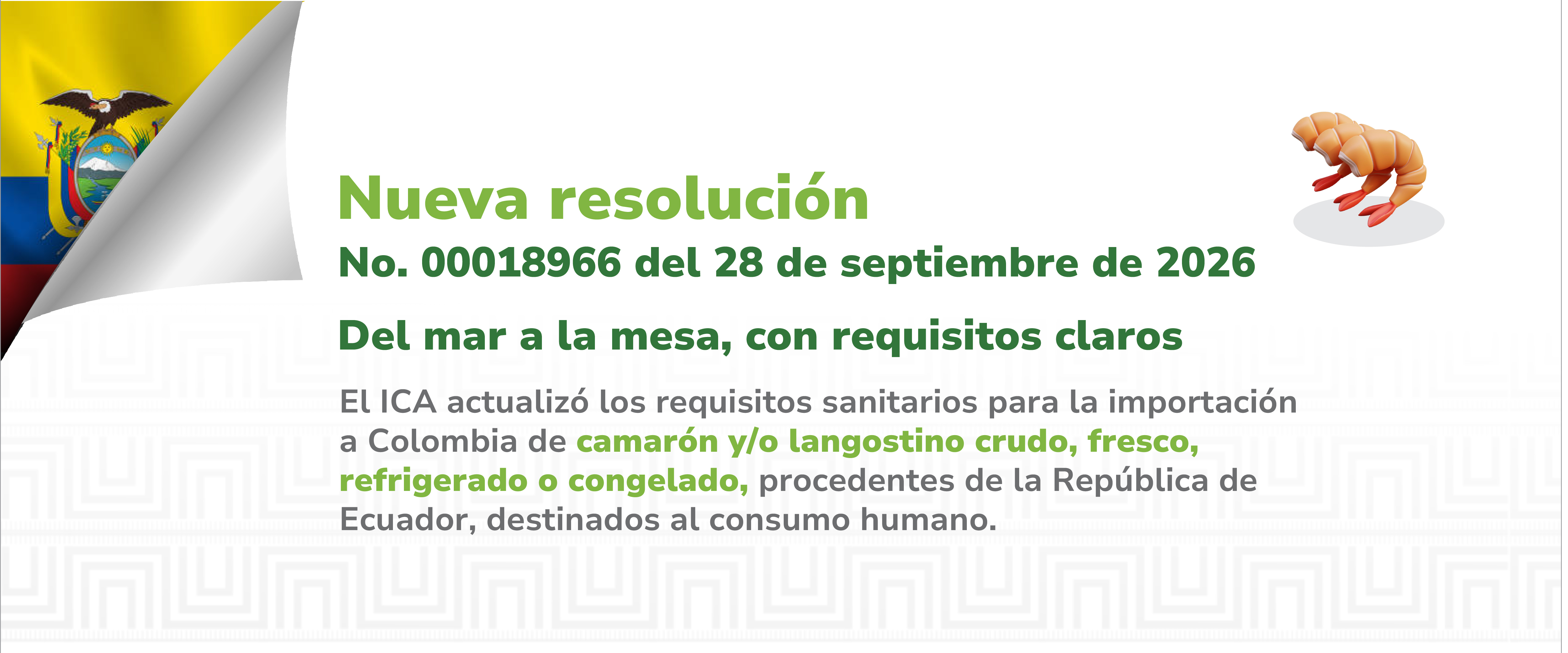 Consulta aquí la resolución 00018966